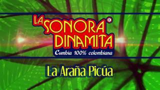 La Araña Picúa  La Sonora Dinamita Audio [upl. by Pinsky]