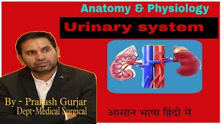 Function of kidney overview of renal function part 2 [upl. by Minta]