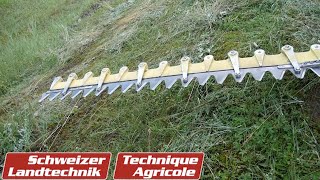 Wepfer Gelungener Spagat mit «Swissblade» [upl. by Llebiram]