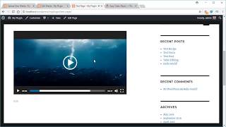 Easy Video Player Plugin for WordPress [upl. by Htebaras]