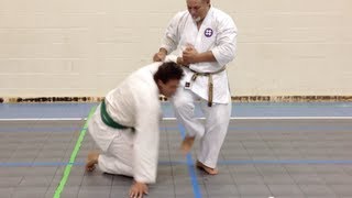 One Minute Bunkai Patsai Kyan 3 [upl. by Elbys]