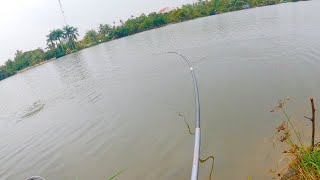 The river fish is so loud fishing like this is so cool [upl. by Sualokcin]