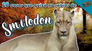 10 Cosas que quizá no sabías de SMILODON [upl. by Novelc]