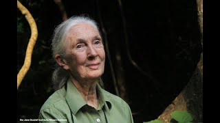 From War to Wildlife Jane Goodalls Journey for Hope [upl. by Idnerb]