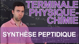 Synthèse peptidique  PhysiqueChimie  Terminale  Les Bons Profs [upl. by Ahsiruam]