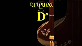 TANPURA D SCALE LOOP । tanpura tanpura d d tanpura [upl. by Sinaj]