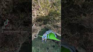 Wild camping Scotland Tentsile Connect tree tent ‎TentsileLtd camping treetent wildcamping [upl. by Eblehs18]