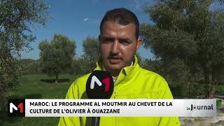 Maroc  le programme Al Moutmir au chevet de la culture de l´olivier à Ouazzane [upl. by Bashemeth]