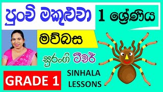 e thaksalawa 1 ශ්‍රේණිය පුංචි මකුළුවා Surangi Teacher Punchi Makuluwa [upl. by Acinnor]