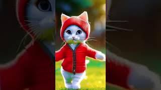 Patil kamariya mor dance bollywood dancecover cat catdancer animaldance 0474 song [upl. by Nawj]