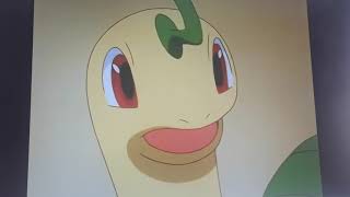 Pokemon Clip Bayleef Sad [upl. by Graces]