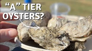 Everything I Ate at the US Oyster Festival [upl. by Swainson]