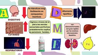 Toxicología de Piretrina y Piretroides UNSAAC [upl. by Kamaria810]