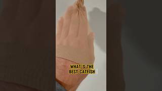 WHAT Is The BEST Catfish Bait  THIS shorts fishing catfish catfishing [upl. by Philippine197]