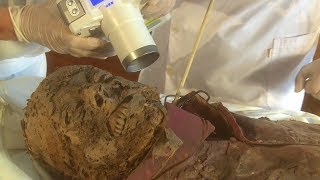 Sacred Mummies Documentary [upl. by Drofub620]