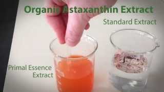 Primal Essences Water Dispersible Organic Astaxanthin Extract for Food and Beverage [upl. by Ojadnama]