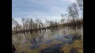 Paddling on Horseshoe Lake [upl. by Beata]