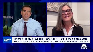 We have a volatile fund Cathie Wood responds to criticism about Ark Invest [upl. by Elwin]