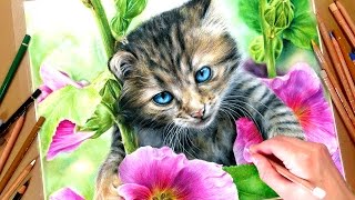 Realistic Kitten In Coloured Pencil Tutorial  FREE reference photos [upl. by Mizuki482]