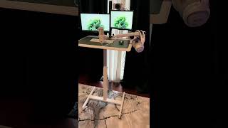 Why Every Home Office Needs an Adjustable Desk [upl. by Notffilc]