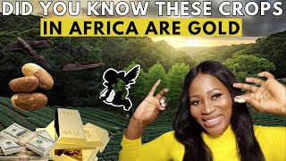 These 10 Agriculture Business Ideas In Africa Will Make You A Millionaire Fast [upl. by Yeblehs]