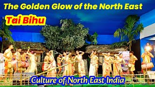 Assamese Bihu  Tai Bihu  Tai Bihu Dance  North East India Culture  Tai Ahom Bihu Husori [upl. by Adnarom]