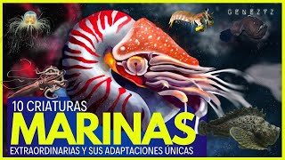 🖖 10 Criaturas Marinas Extraordinarias y sus Adaptaciones Únicas [upl. by Yauqaj524]