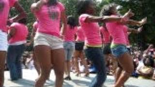 Alpha Kappa Alpha Strolling at Atlanta Greek Picnic 2008 [upl. by Lasala]