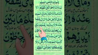 Aayatukursi aayatulkursi quranrecitation qurantilawat youtubeshorts [upl. by Waldman866]