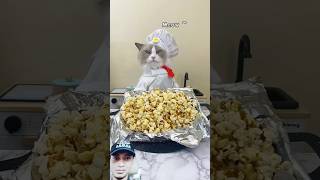 Puffs make popcorn ASMR 😀 thatlittlepuff cat popcorn pets funny cute [upl. by Sinnaoi]