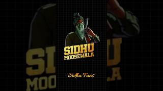 Sidhu Moose Wala Live Show 🔥 Iconic Performance of His Hit Song [upl. by Safier]