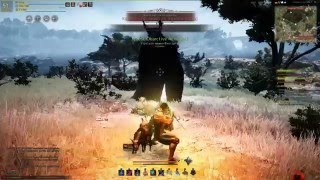 Black Desert  Summon Black Spirit [upl. by Fang518]