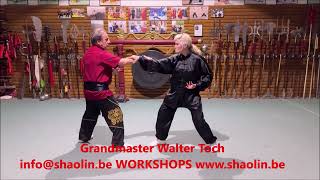 Belgium Martial Arts Family TOCH with created Chinese taolu for combat live [upl. by Edgard]