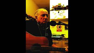 Rino Gaetano Resta vile maschio dove vai shorts acoustic cover [upl. by Anaer]