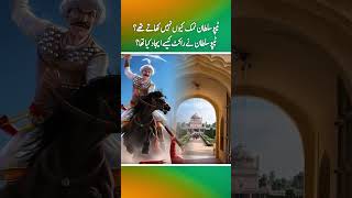 Why did Tipu Sultan not eat salt How did Tipu Sultan invent the rocket part 1 [upl. by Sirod75]