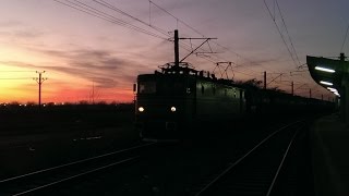 Trenuri in viteza  goarne  Speed trains  horn [upl. by Tirb947]