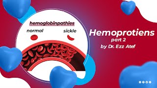 biochemistry  2nd year  2 Hemoproteins part 2 [upl. by Ric883]