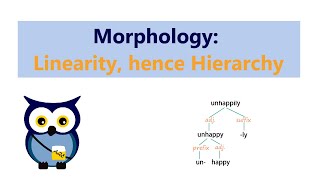 Morphology Linearity hence Hierarchy [upl. by Joao240]