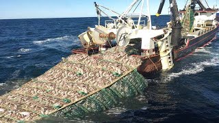 Amazing Big Catching on The Sea With Modern Big Boat  Amazing Giant Fishing Net I Never Seen [upl. by Adeys]