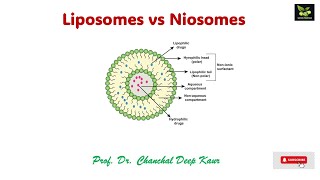 Liposomes vs Niosomessaiedupharmaa ndds [upl. by Haek411]