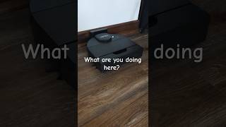 Neato d9 and Roomba 694 have a conversation [upl. by Veronica]