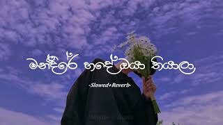 Mandire Hade Oya Thiyala මන්දිරේ හදේ ඔයා තියාලා Slowed Reverb [upl. by Annhej]