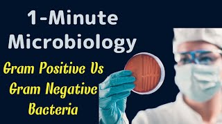 1  Minute Microbiology  Gram Positive Vs Gram Negative Bacteria Differences [upl. by Analihp]