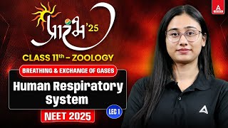 BREATHING AND EXCHANGE OF GASES CLASS 11  NEET 2025  HUMAN RESPIRATORY SYSTEM  BY BHARTI MAM [upl. by Iorio]