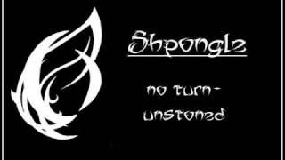 Shpongle  No turnunstoned [upl. by Aliwt]