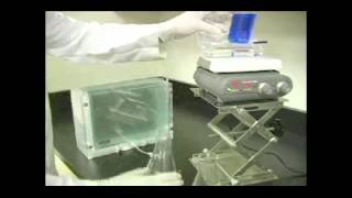 Casting Gradient Gels with the PROTEAN® Plus MultiCasting Chamber [upl. by Jerrie376]