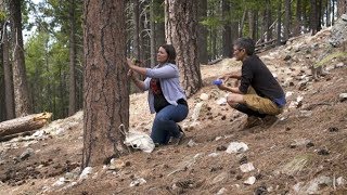 Tree Readers [upl. by Nilsoj]