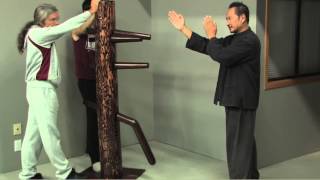 Wing Chun Dummy Intro [upl. by Nitsur482]