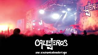 15 Callejeros  Canciones y almas  VIVO Excursionistas 2004 [upl. by Kusin]