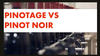 Pinotage vs Pinot Noir Whats the Difference [upl. by Leunad498]